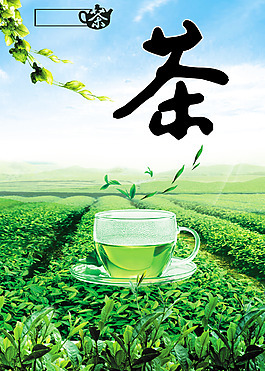 绿茶海报图片