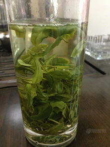 扬州特产绿茶 2013新茶绿杨春招商