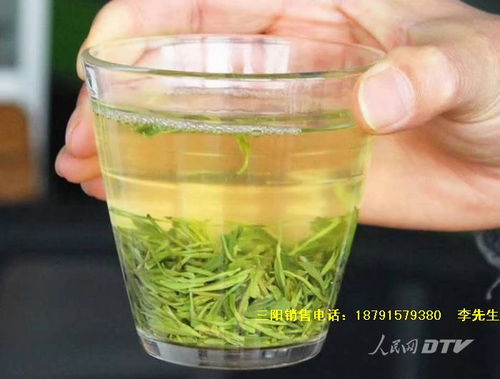 世界绿茶在中国,中国绿茶后起之秀在安康平利