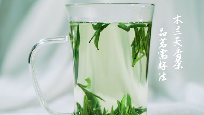 武汉优质农产品--木兰天香茶:优质好绿茶 品茗需好法