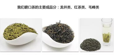 众筹故事 甘肃文县碧口陇上春绿茶