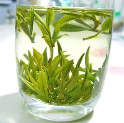 中国十大名茶之一,黄山毛峰为何如此出名