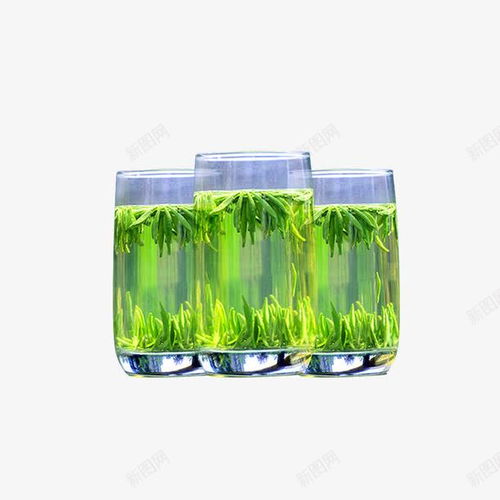 产品实物爽口竹叶青茶叶 滋补 竹叶青 竹叶青茶叶 绿茶 美容 至美味道 色泽明亮 茶叶 茶饮品 草本 饱满 鲜活 元素 免抠png 设计图片 免费下载 页面网页 平面电商 创意素材 茶饮素材