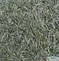 茶叶(绿茶)古丈银针(会舞蹈的茶叶)[供应]_茶叶_世界工厂网中国产品信息库