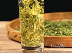 绿茶要洗茶吗 喝绿茶谨慎洗茶