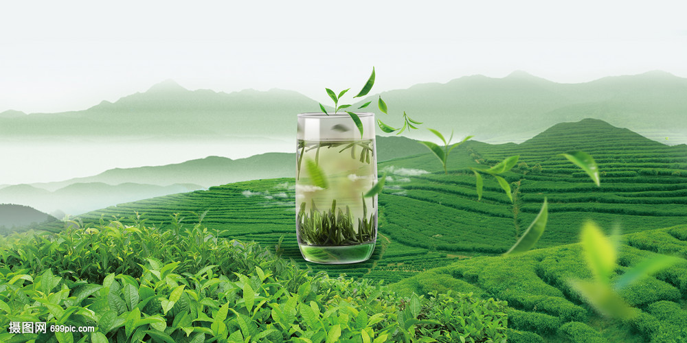 创意绿茶场景