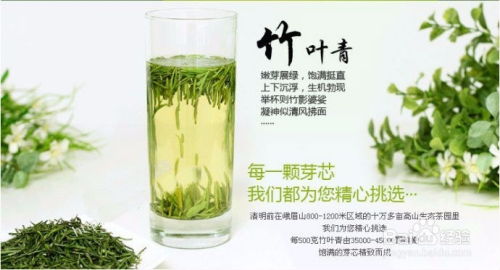 绿茶有哪些品种绿茶种类介绍