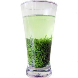 信阳毛尖2019新茶春茶绿茶嫩芽茶叶散装罐装浓香共500g