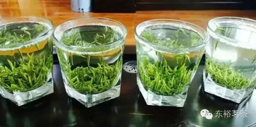 陕西东裕生物科技股份