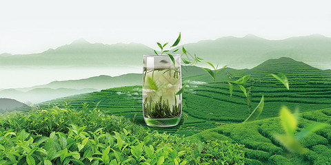 一杯茶,一本书图片