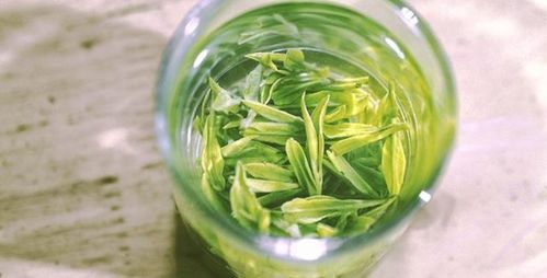 血液粘稠易血栓,常吃3种食物,避免血管堵塞