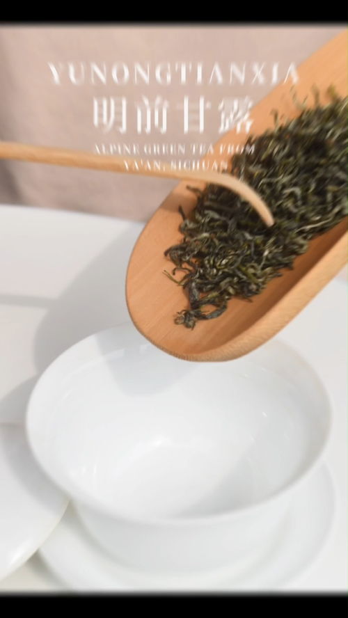 治愈系绿茶,有溢出画面的清新 绿茶 产品拍摄 茶叶 夏日饮品
