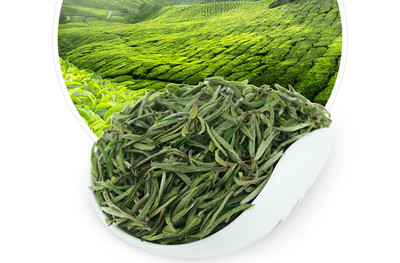 龙合春茶特级黄山毛峰礼盒装120g雀舌绿茶茶叶
