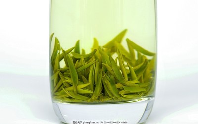 雀舌绿茶