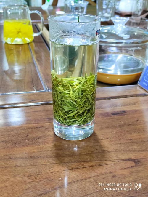 山东特产日照绿茶