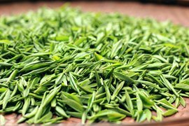 荣成绿茶