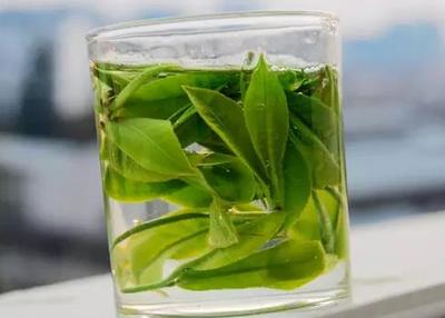 崂山绿茶：青岛地理标志的绿色瑰宝