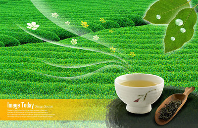 中国绿茶的文化与艺术 高清PSD分层素材的呈现