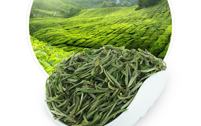 龙合新茶春茶头采嫩芽 安徽明前特级黄山毛峰毛尖75g罐装绿茶