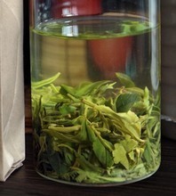 日照绿茶袋装产品参考信息全解析