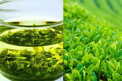 绿茶的功效有哪些？你知道全部吗