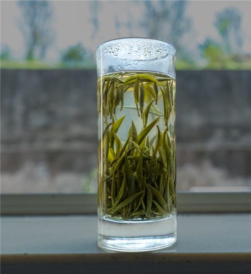 茶叶之乡丨绿茶